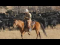 John Moore Horse Cattle Course USA