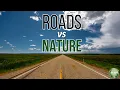 The Unexpected Ways Roads Are Changing Nature