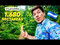 I Visited the World s Largest Botanical Garden LANCETILLA HONDURAS