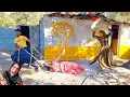 A Chaotic Life The Endless Trouble of One Man and Two Women