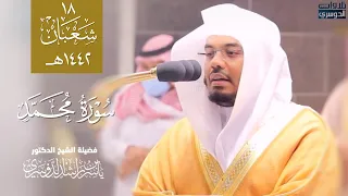 سورة محمد كاملة بأداء فريد من الشيخ ياسر الدوسري     فجر الاربعاء ١٨ ٨ ١٤٤٢ه  دندنها