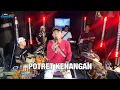Download Lagu POTRET KENANGAN - NEW SANJAYA
