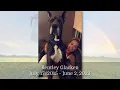 A Pet Memorial Service
