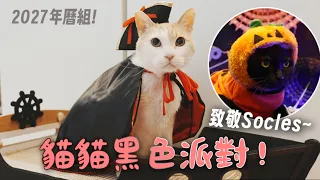 【黃阿瑪的後宮生活】貓貓黑色派對！2027年曆組致敬Socles～