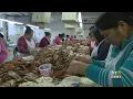 Eastern Shore Crab Picking Houses Praise Federal Approval For Thousands Of Additional Work Visas