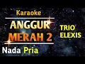 Download Lagu ANGGUR MERAH 2-KARAOKE NADA PRIA/COWOK || TRIO ELEXIS || MUSIK KEYBOARD YAMAHA