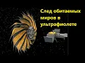 Download Lagu Traces of habitable worlds in ultraviolet light