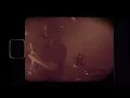 GHOST BATH - Hide from the Sun feat. CJ from Thy Art Is Murder (UNOFFICIAL MUSIC VIDEO)