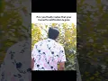 Download Lagu It's gone 💥  #shorts #trending #viralvideo #memes #love