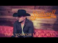 Matt Stillwell - I m A Vol For Life Y all