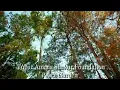 California love (Feat. Dr. Dre and Roger troutman)- officiel Music Video