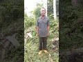 Download Lagu 8 Wajib TNI. Saya buat agar rakyat tahu bahwa TNI selalu berada ditengah tengah rakyat.