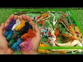 Download Lagu Unboxing Ikan Cupang, Ikan Hias Aquarium, Ikan Hias Warna Warni, Ikan Koi, Ikan Oscar, Ikan Glowfish