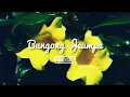 Download Lagu Bungong Jeumpa - GREXGO Remix