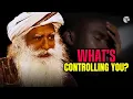 Lagu Waarom je je leven niet kunt beheersen — Sadhguru onthult de ware reden