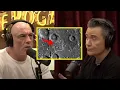 Download Lagu What is up with The Dark Side of the Moon.. | Joe Rogan