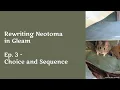 Choice and Sequence Ep 3 - Rewriting Neotoma in Gleam