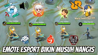 Download BORONG SMUA BATTLE EMOTE BARU! COCOK UNTUK NGEJEK / HINA MUSUH, TUTOR DEK  TURU DEK ! MP3