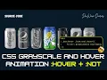 CSS Grayscale and Hover Effect CSS Element Select Animation CSS Filter Creazy CSS