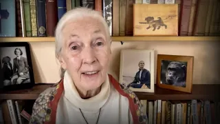 Every day you live you impact the planet Jane Goodall