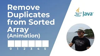Remove Duplicates from Sorted Array Leetcode 26 Animation Coding Interview Problem