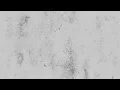 Los Farmerz - Soy el Tío [Lyric Video]
