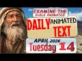 JW DAILY ANIMATED TEXT The Perfect Judge EXAMINE THE BIBLE ANIMATED