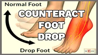 THE MS GYM - HOW TO COUNTERACT YOUR FOOT DROP NOW