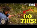 How to hunt Panther in RDR2 EASY METHOD