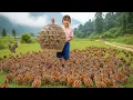Download Lagu Harvesting 500+ Wild Quails - How to Build and Use Bamboo Nests as Home Raise Them | Farm Life