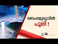 ബെംഗളൂരുവിൽ വീണ്ടും പുലി, അതീവ ജാഗ്രത പാലിക്കണമെന്ന് വനംവകുപ്പ്