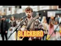Download Lagu This Guy Sings Blackbird Like You've NEVER Heard Before! | The Beatles - Blackbird