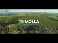Download Lagu DJ SLOW VIRAL TIKTOK !!! HDR BEAT - TE MOLLA (Slow Remix)