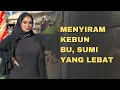 Lagu KISAH NYATA !! BIBIK SUMI PEMBANTU YANG SELAMA INI MELAYANIKU HINGGA DEWASA