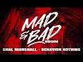 Shal Marshall - Behaviour Nothing (Mad & Bad Riddim)