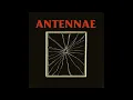 Download Lagu Antennae - B (Full Album)
