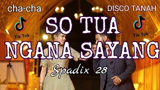 Download BIAR SO TUA LEBEH BANYA MINYA 😂- Cha-Cha Special - Spadix 28 ( Disco Tanah) MP3