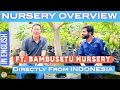 Download Lagu BEST EVER MANGO POT CULTURE FROM INDONESIA -Ft. BAMBUSETU NURSERY || TOP 5 VARIETIES FROM INDONESIA 