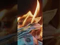 Hidden History The Surprising Explanation for Why the US Burned 200M Years Ago
