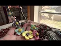 Jewelry Jar Talbots We Dream in Colour Silpada sterling silver