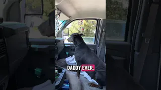 Sundays trip to Stinson beach .. #fyp #dream #doberman #pets #youtube