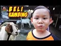 Lagu Drama Praya Beli Kambing Qurban | Drama Anak Lucu