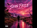 DJ MSHAYI 012 – Seng'fikile (Official Audio) | 2026