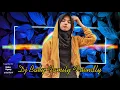 DJ BABY FAMILY FRIENDLY# dj ada sayang ada # Halo bos ku