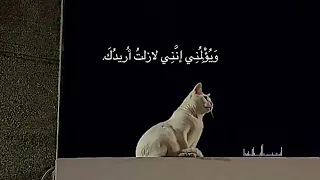 الأغنية التي يبحث عنها الجميع  إني أحبك بعدد ما في الرافدين من قطرات              حزين          دندنها