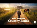 Lagu SONIC MUSIC - Take Me Home, Country Roads ( TRIBAL RMX )