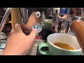 Lelit Bianca Coffee Machine Pid Programming Tutorial