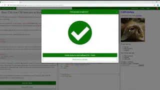 Basic CSS Use CSS Selectors to Style Elements Learn freeCodeCamp
