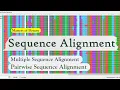 Bioinformatics Sequence Alignment Pairwise and Multiple Sequence Alignment