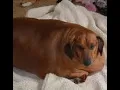 lmao gif